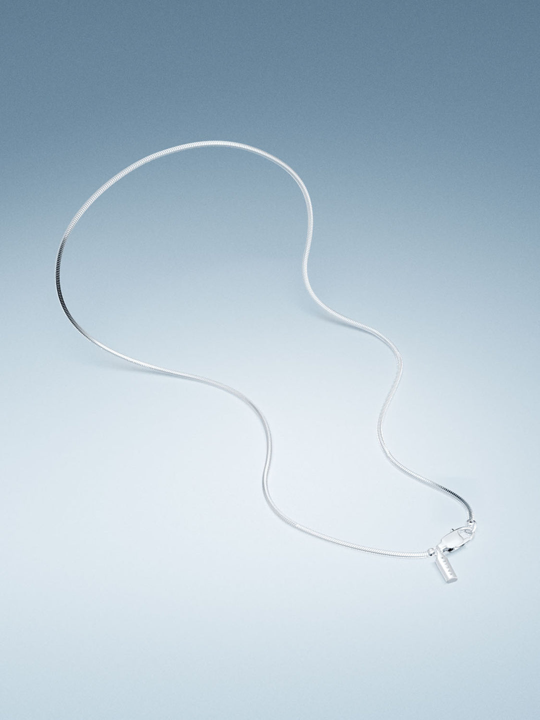 Gyvatės stuburo apyrankė